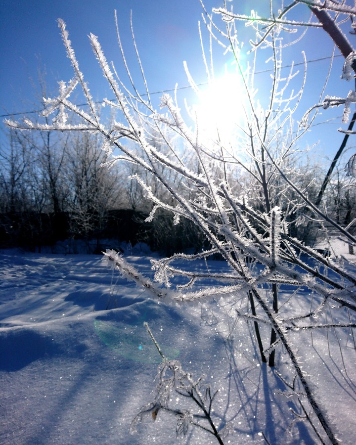 ❄