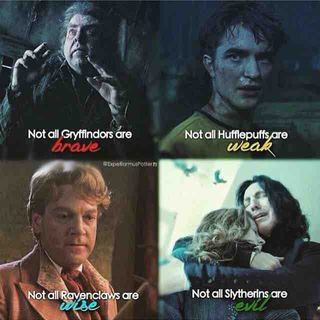 ?Griffindor??Hufflepuff??Ravenclaw?✨Slytherin✨