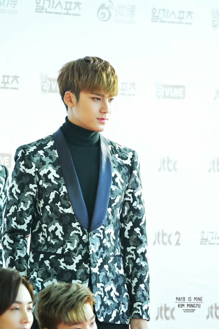 Seventeen Mingyu