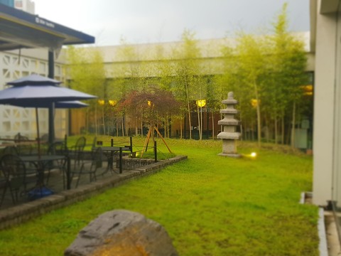nature in the city