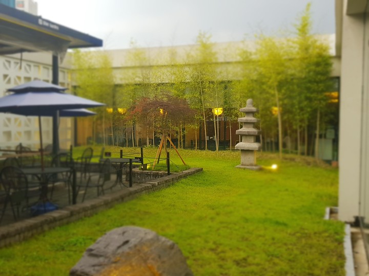nature in the city