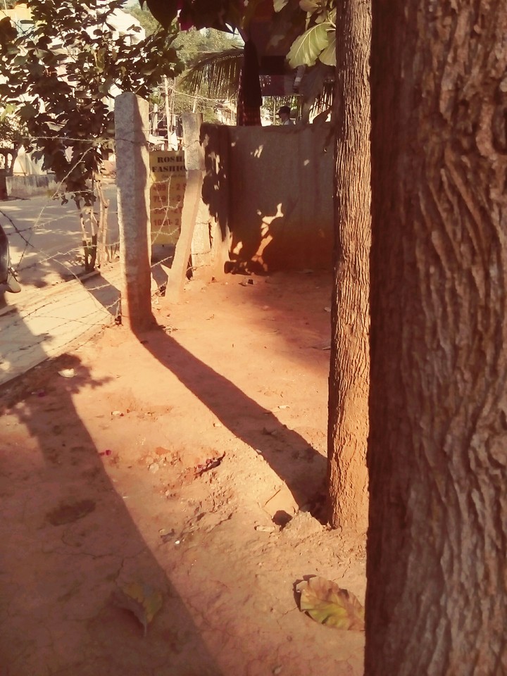Shadow...