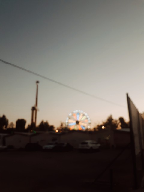 обои evening, happytime