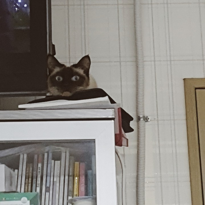 뭐 해