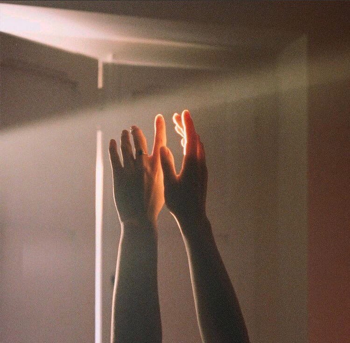 sunlight