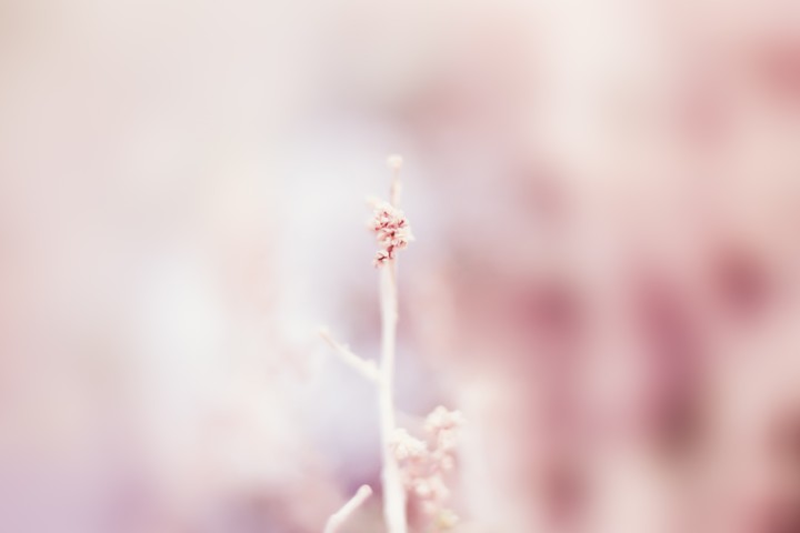 꿈