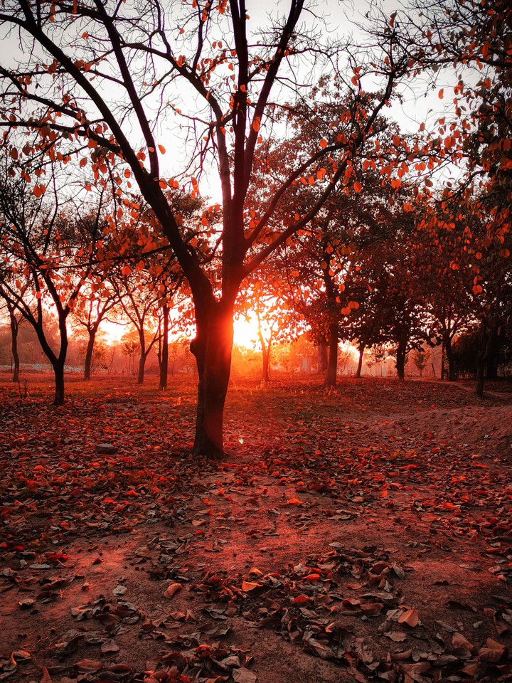 Autumn season shot