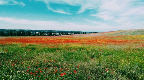 summer