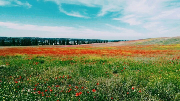 summer