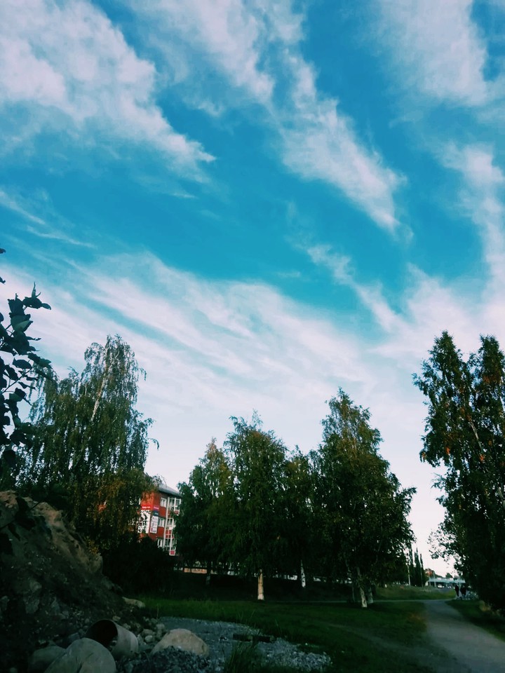 blue skies
