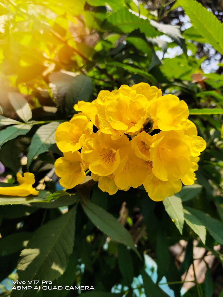 Beauty of Nature?