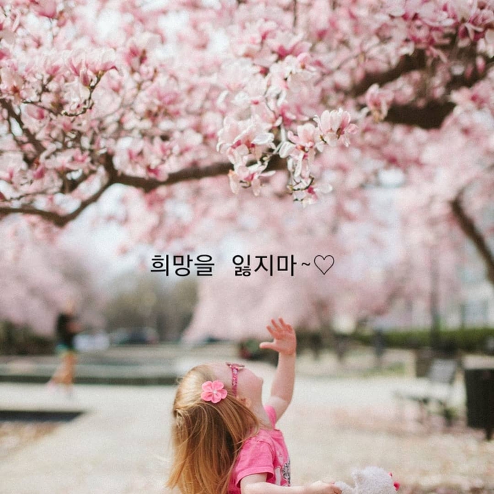 희망