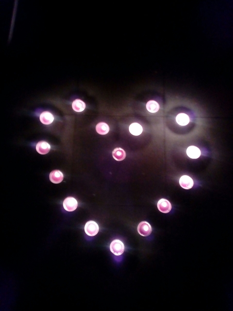 Heart