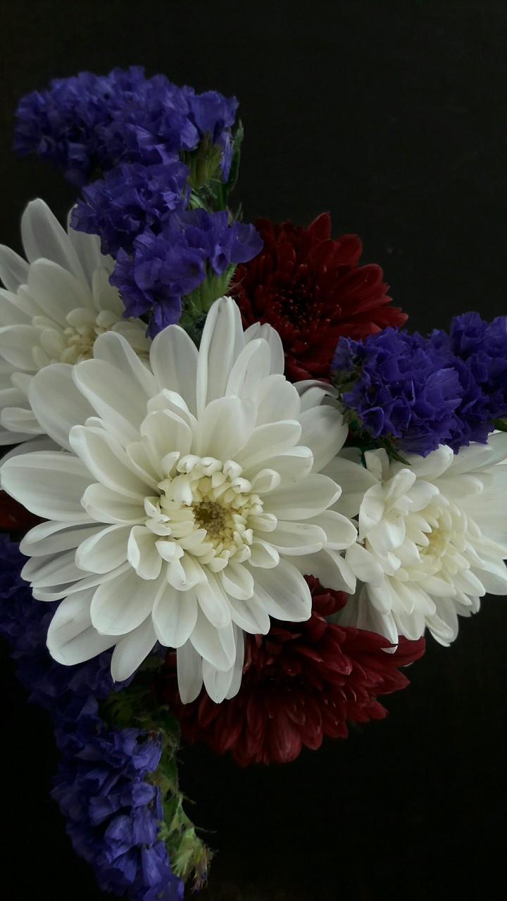 flowers