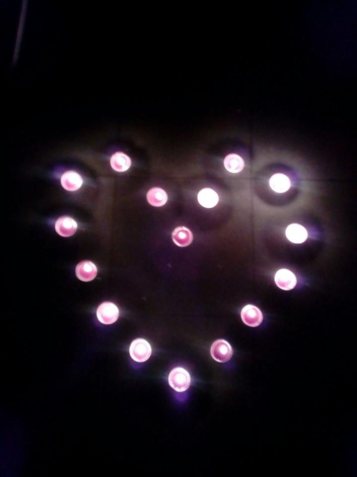 Heart