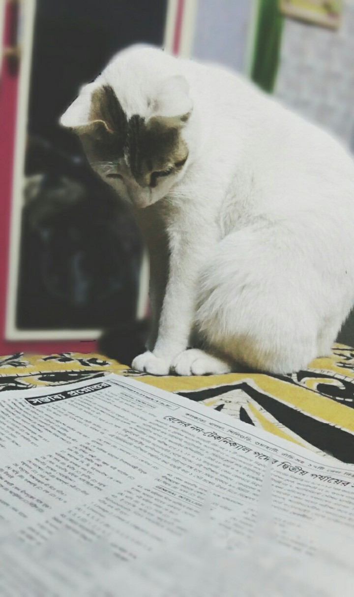 Studying