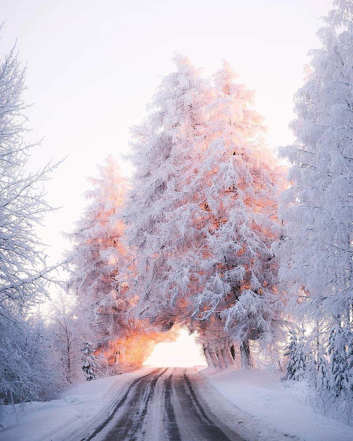 winter