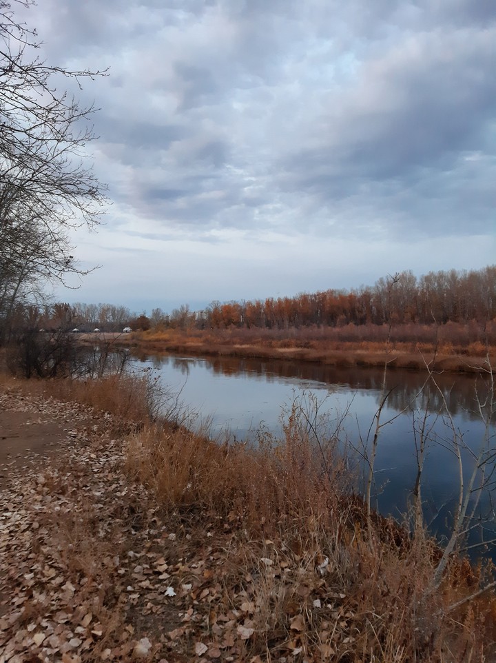 Осень