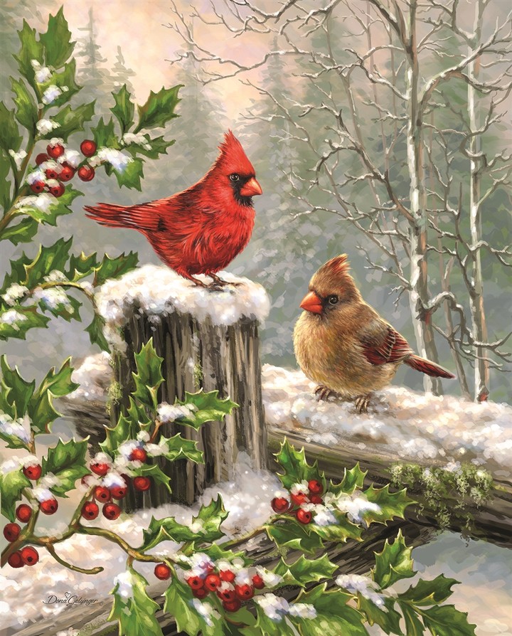 Winter and cardinal