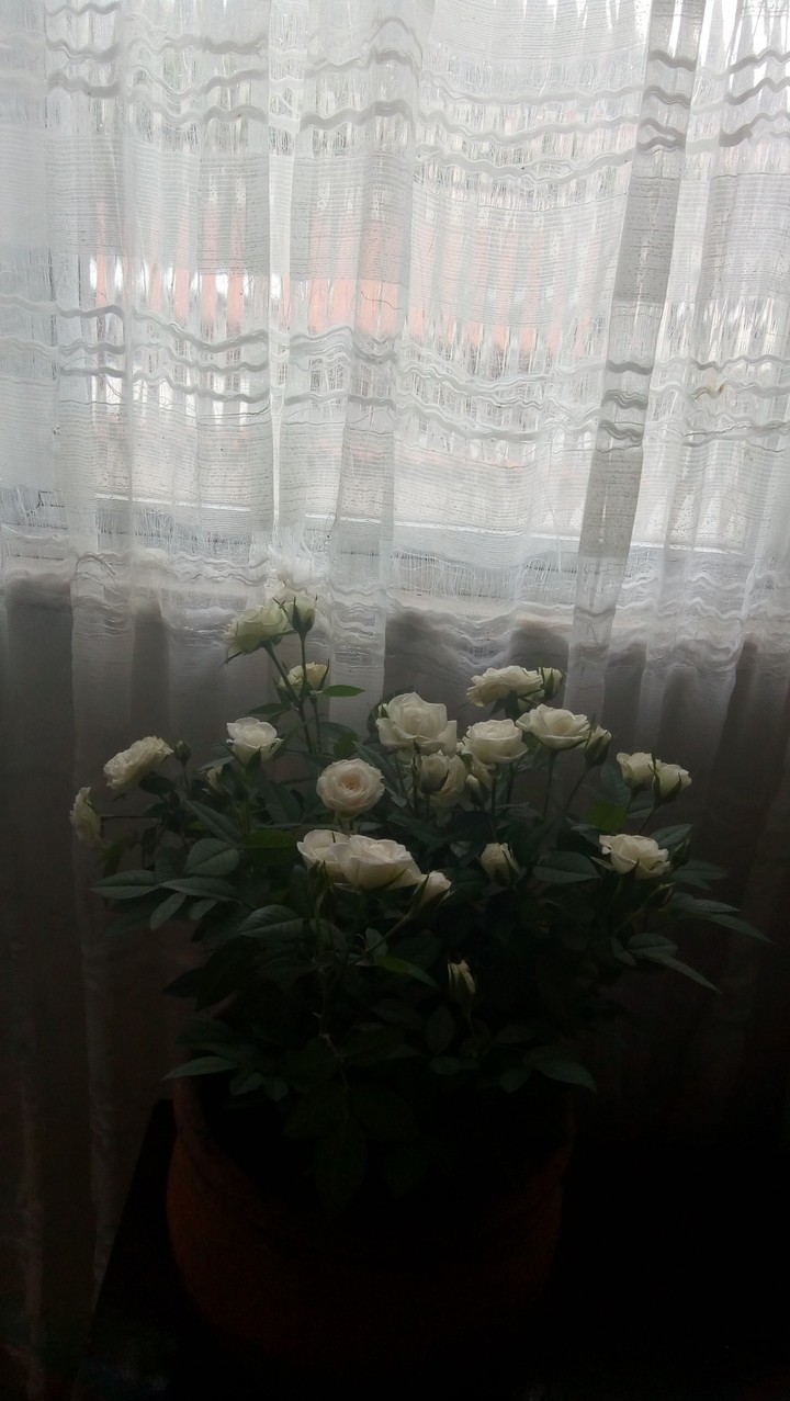 for my father, Ahmed Al Sakir Mensur...♥️