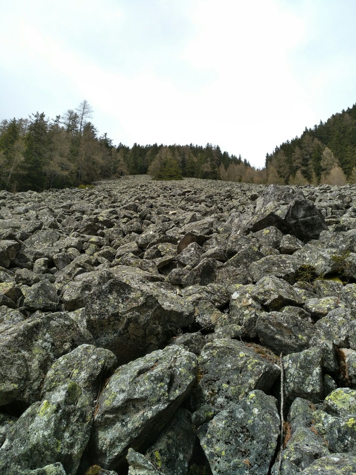 Felsen