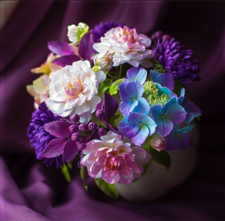 Beautiful flowers