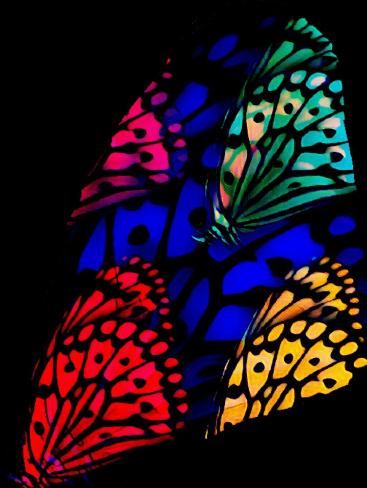 goofing off butterflies