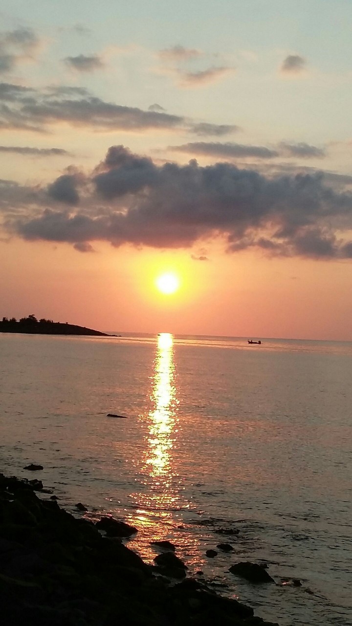 rize turkiş
