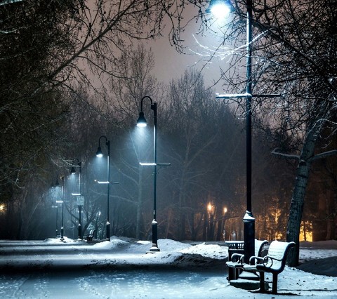 Winter