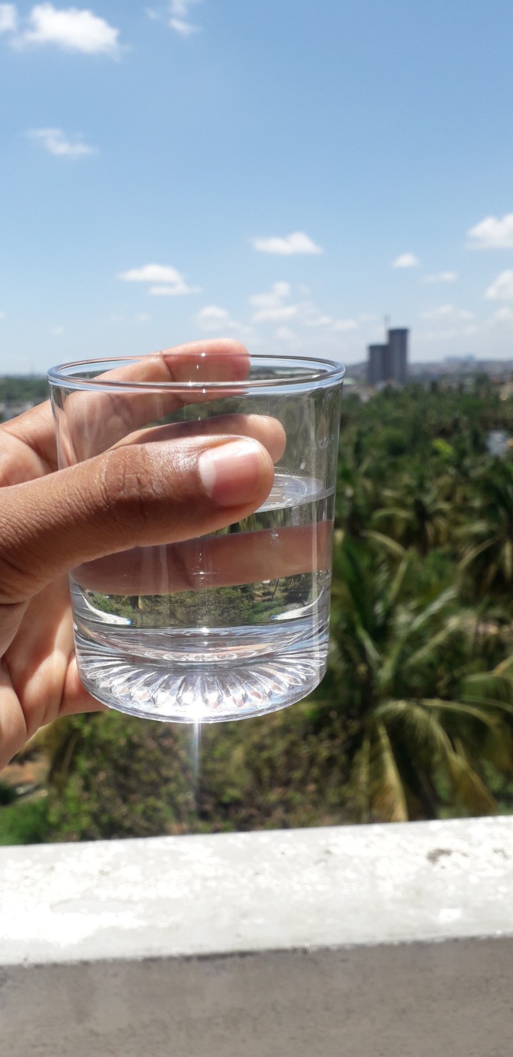 vodka