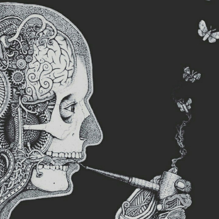 more than just a human