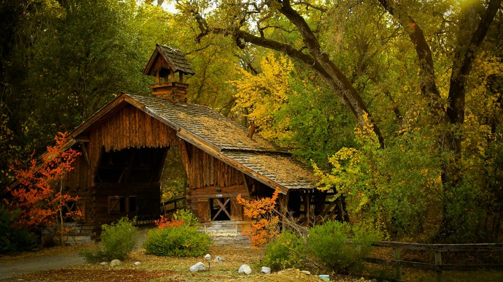 Nature Mountain Forest Landscape