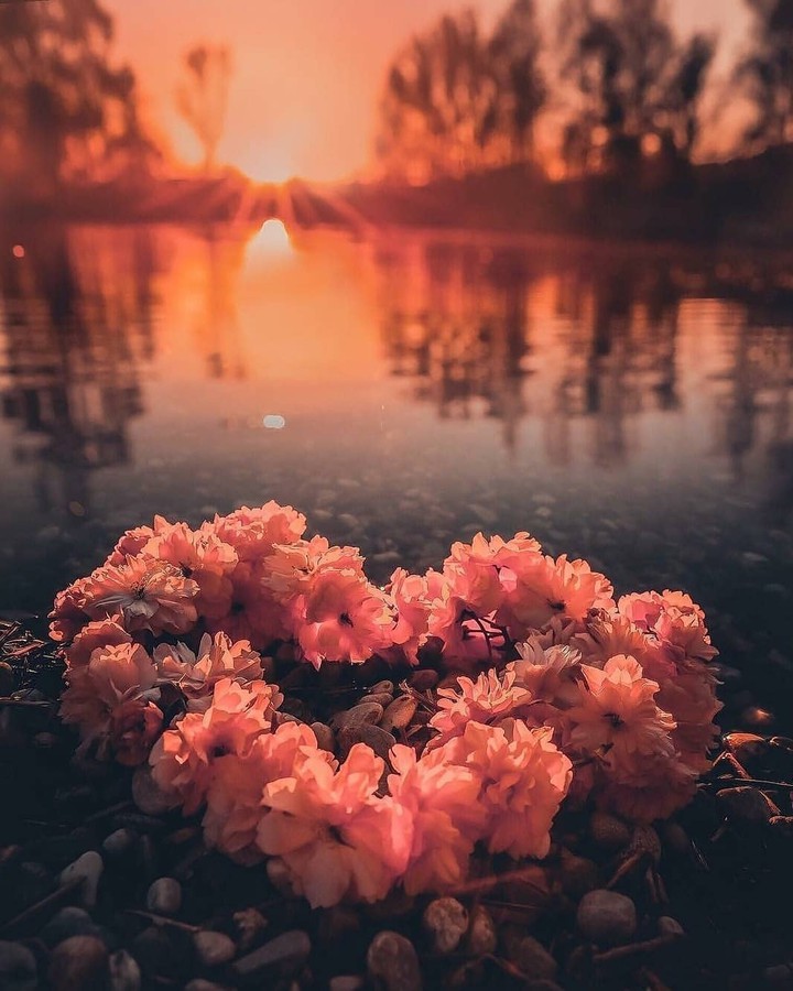 ❤