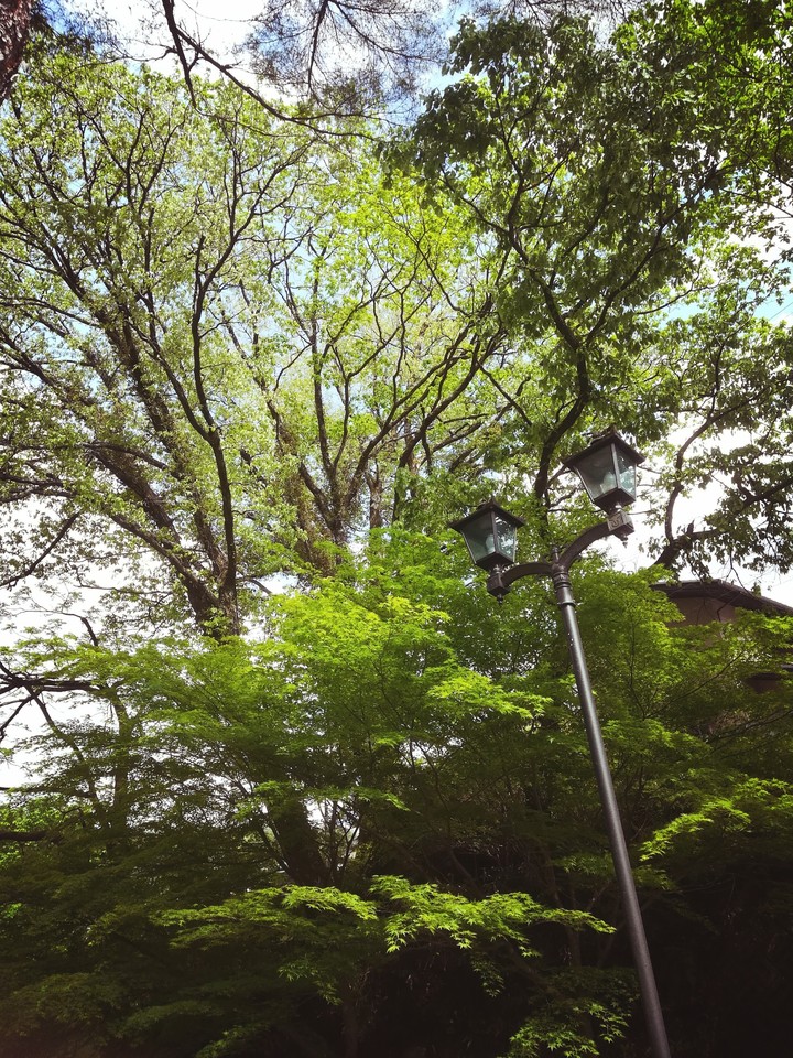 散歩