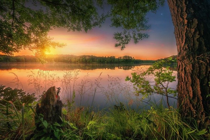 Nature's Beauty