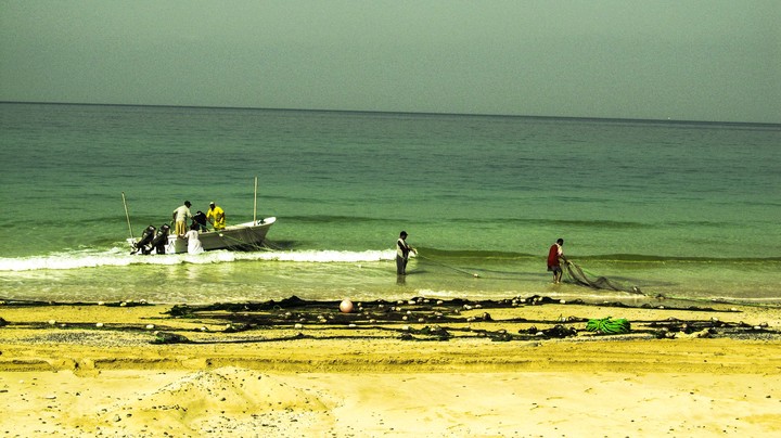 fishing