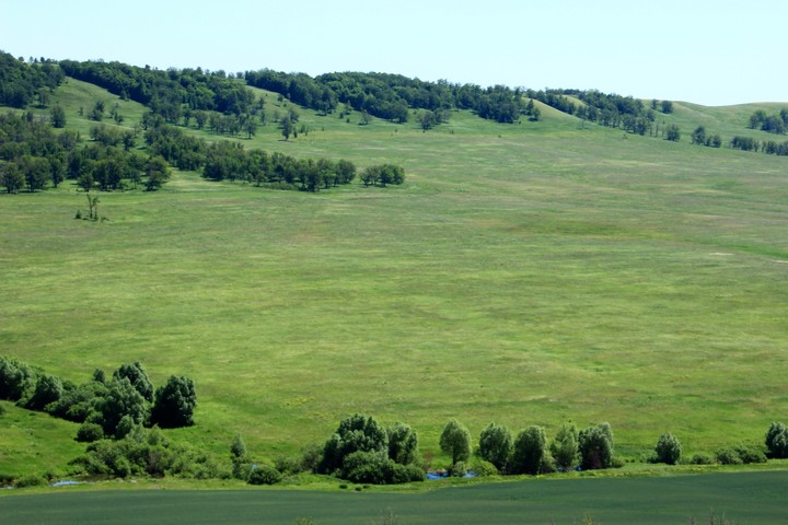 Green spaces
