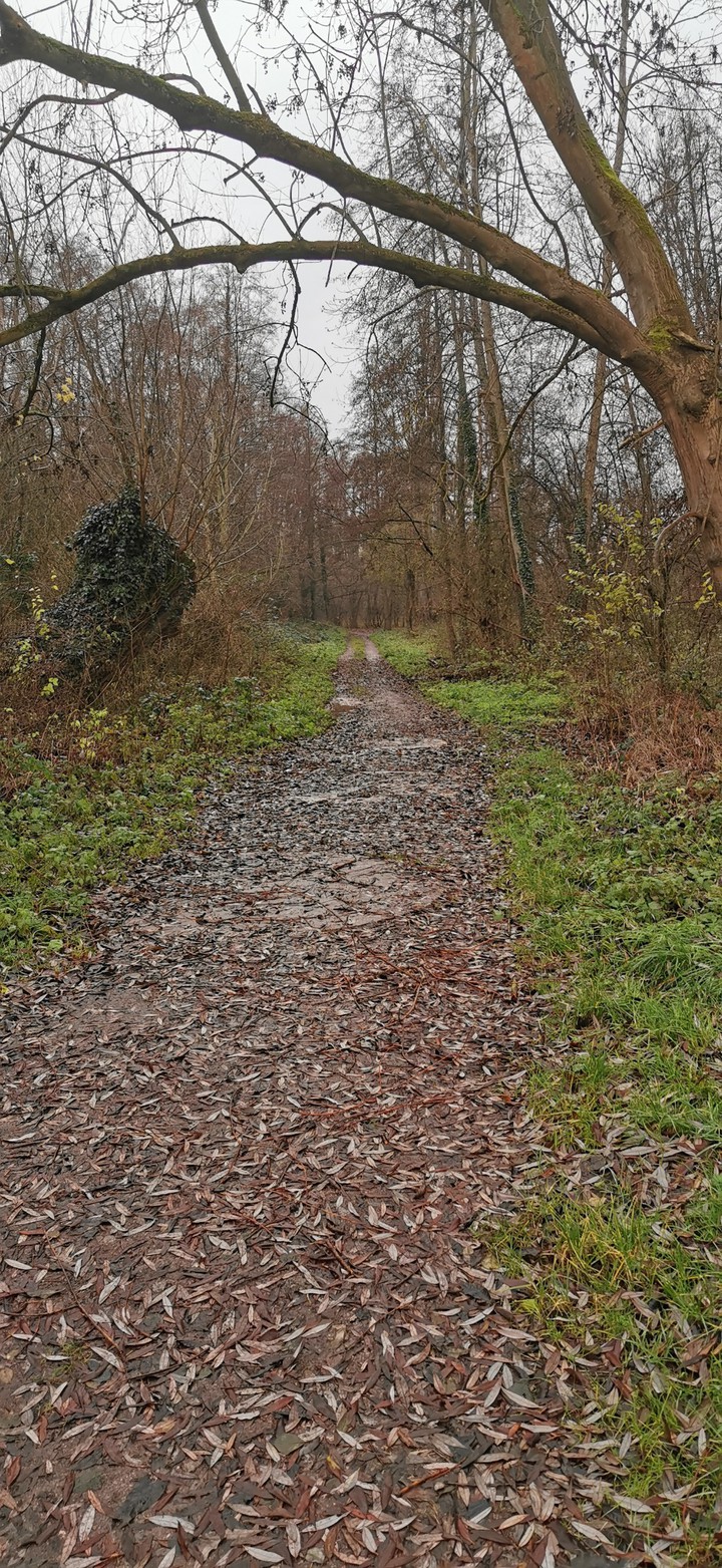 piekna natura landau niemcy