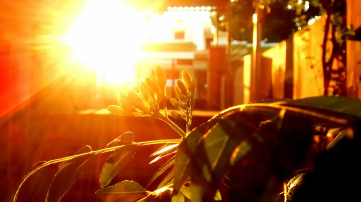 A fresh morning...