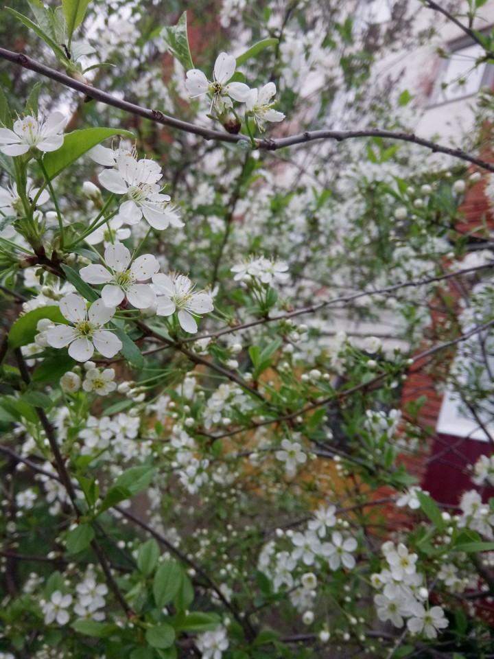 24.06.2018