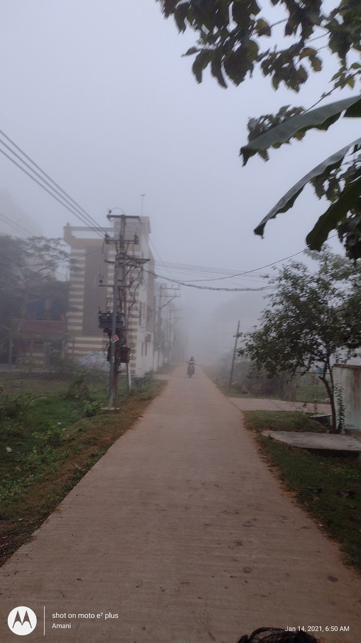 Snow Fog