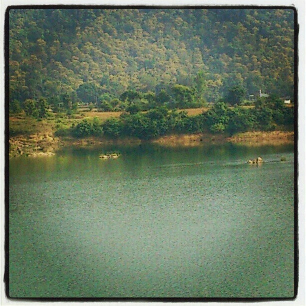 Nature at its best...
