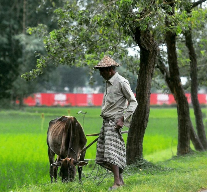 Village Natural Workers