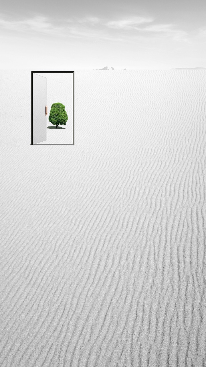 A Door on Dessert