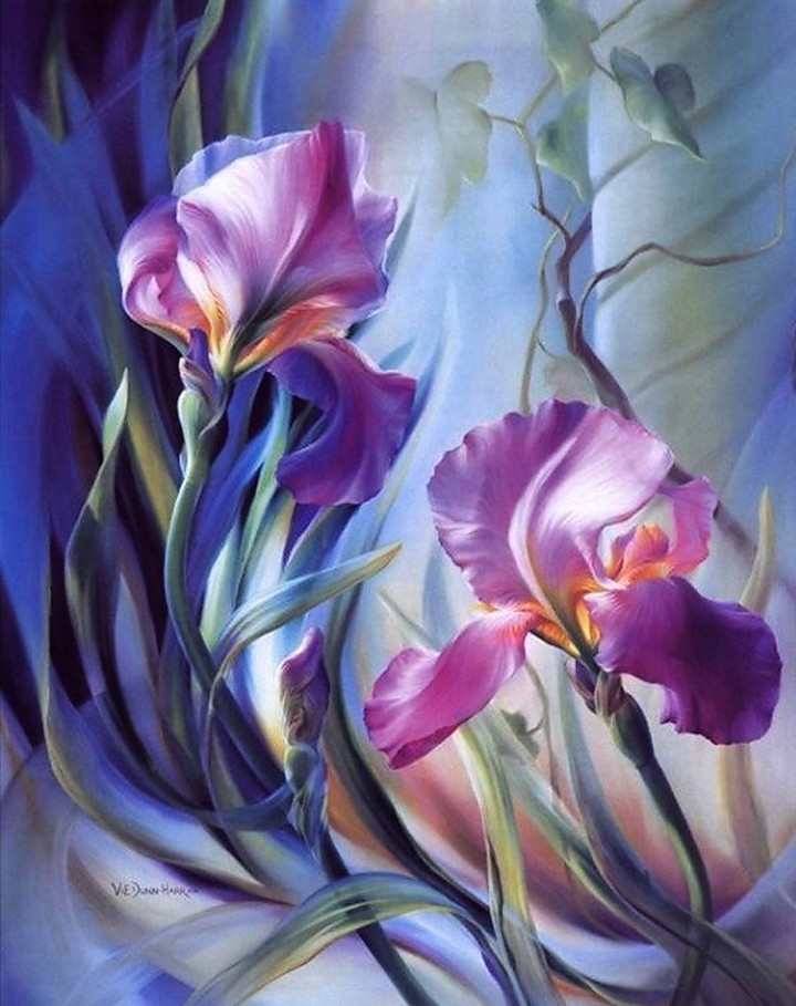 art Iris