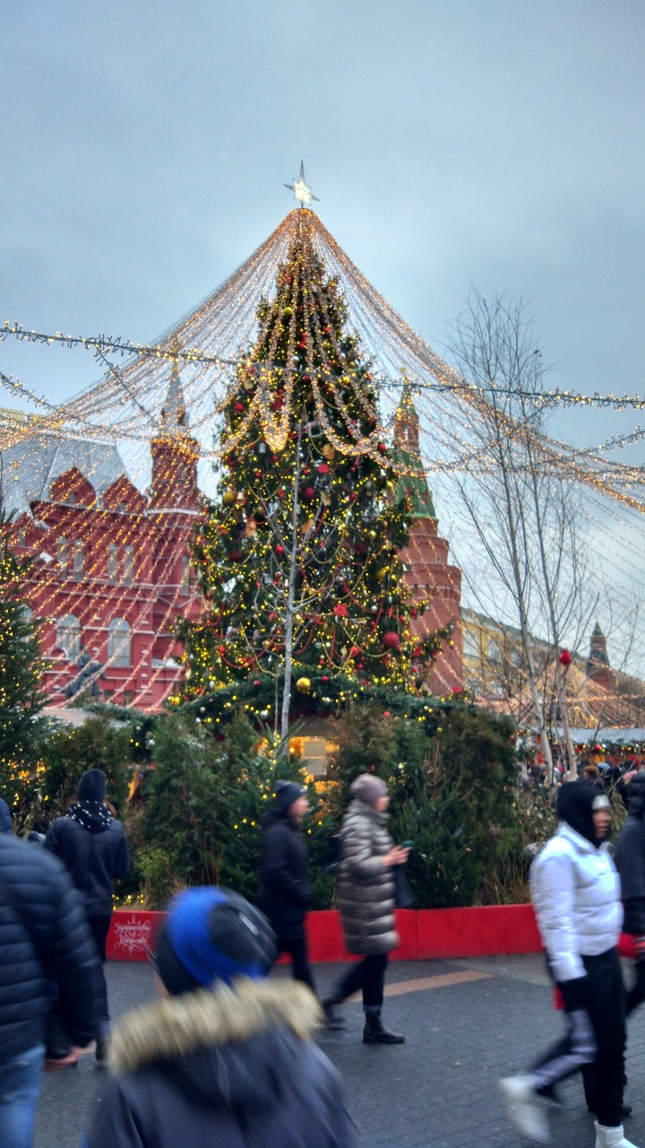 Christmas tree on Manezhnaya square