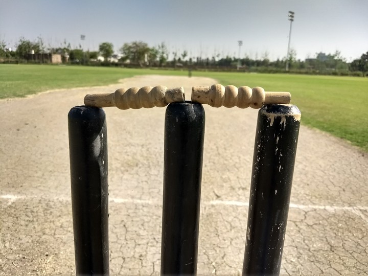 Closeup Cricket