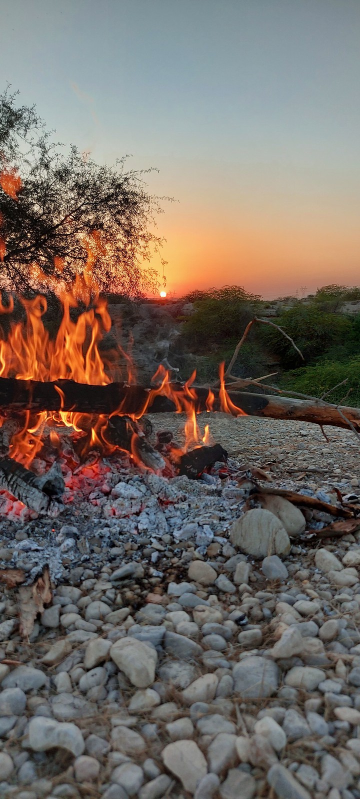 fire | nature | natural