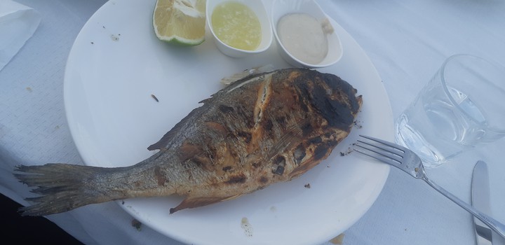brine fish