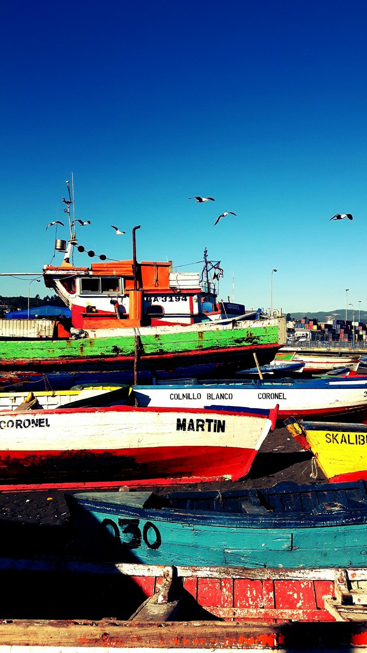 Botes
